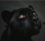 лампы люминесцентные код отхода. file.php?avatar=15004 1313133945. лампы люминесцентные код отхода фото. лампы люминесцентные код отхода-file.php?avatar=15004 1313133945. картинка лампы люминесцентные код отхода. картинка file.php?avatar=15004 1313133945. Экобэтмен рад, что может показать вам компонентный состав отхода :-) Состав отхода указан в процентах по данным источников информации, которые указаны под составом. Если это не то, что вы искали, то можно вернуться и поискать при помощи горячих клавиш Ctrl + F или формы поиска.