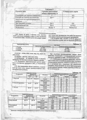 древостой