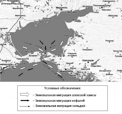 Пути Миграции интиофауны.jpg