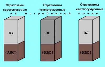погребенная почва.jpg