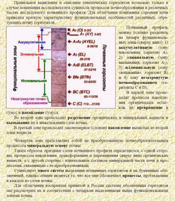 Функциональные зоны почвы.jpg
