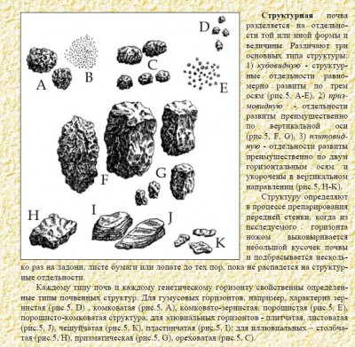 Структура почвы.jpg