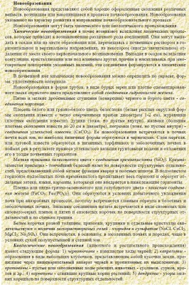 Новообразования.jpg