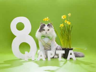 С 8 Марта!.jpg