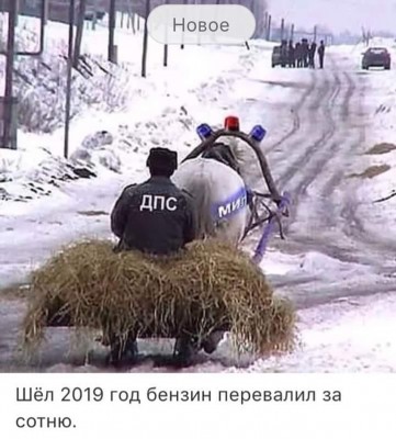 Шел 2019 год.jpg