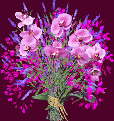 bestgif.narod.ru_21271.gif