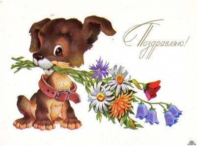 с днем рождения.jpg