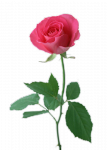 0_8b4ab_4bd85d51_XL[1].png