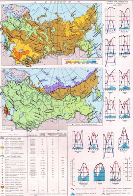 Климатические пояса в России.jpg