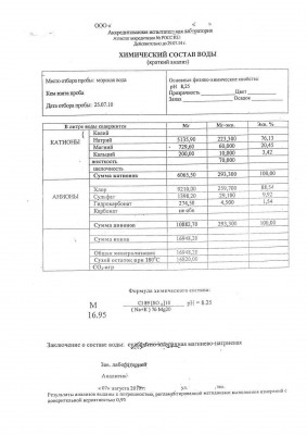 Состав морской воды.jpg